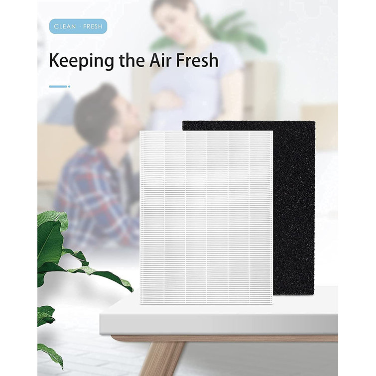 Future Way C535 Replacement Filter A Kit Compatible with Winix
